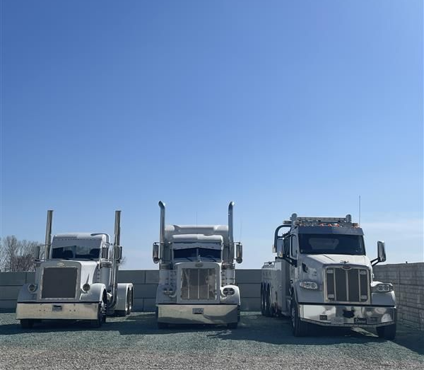 Three white semi-trucks parked outdoors on a sunny day.