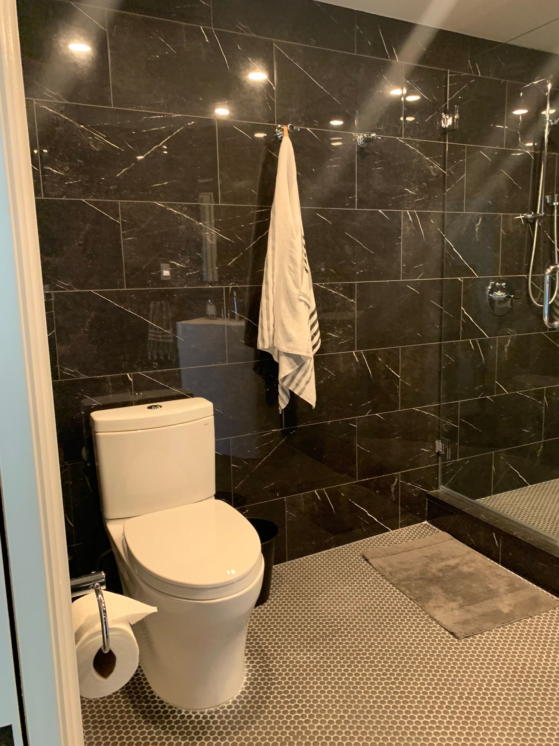 A bathroom with a toilet , shower and black tiles.