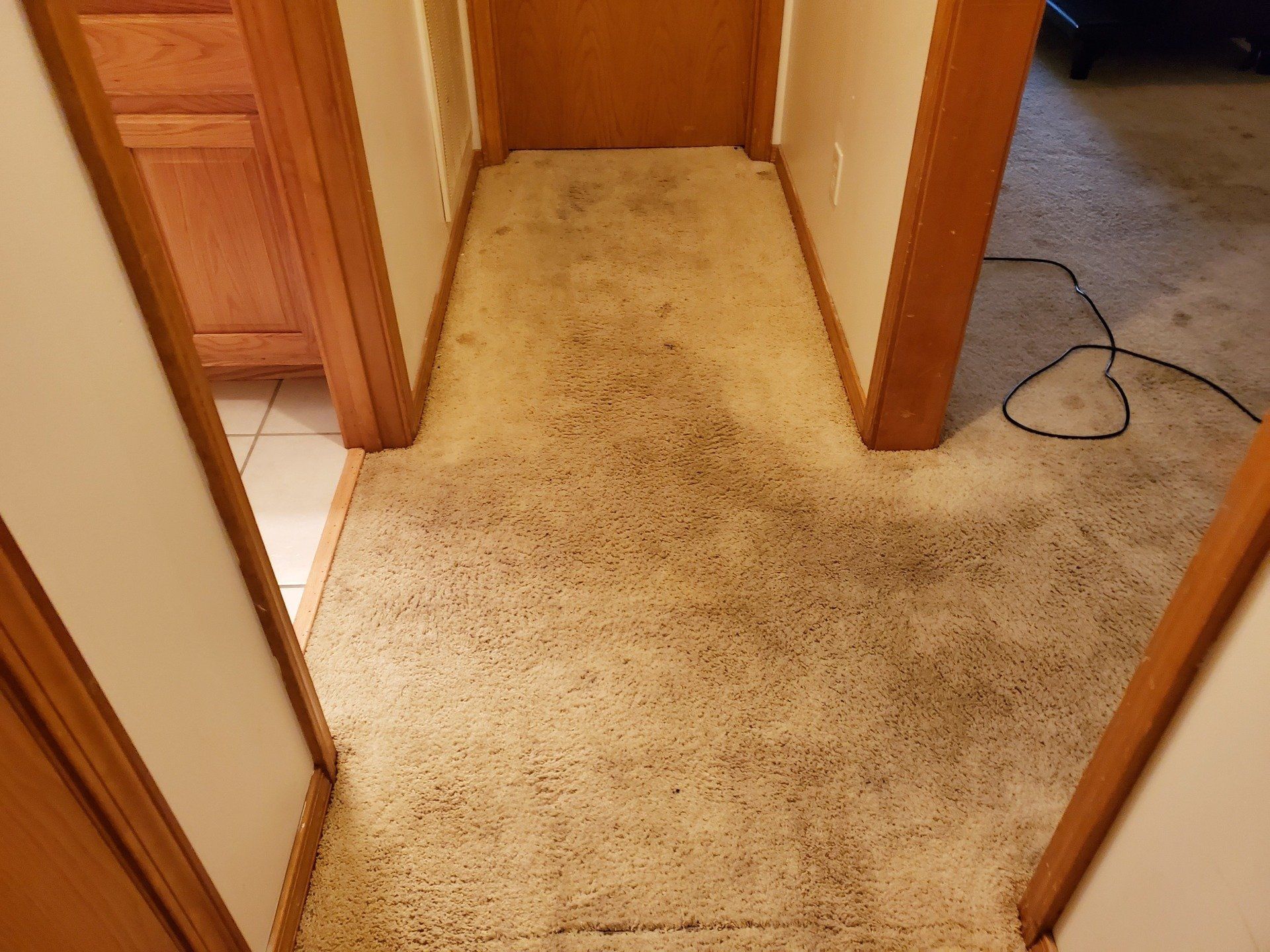 A hallway with a dirty carpet in a house.