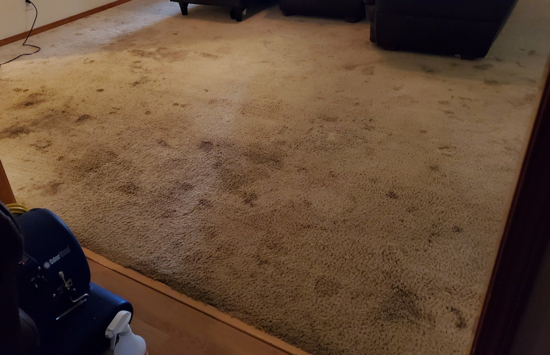 A living room with a dirty carpet and a vacuum cleaner.