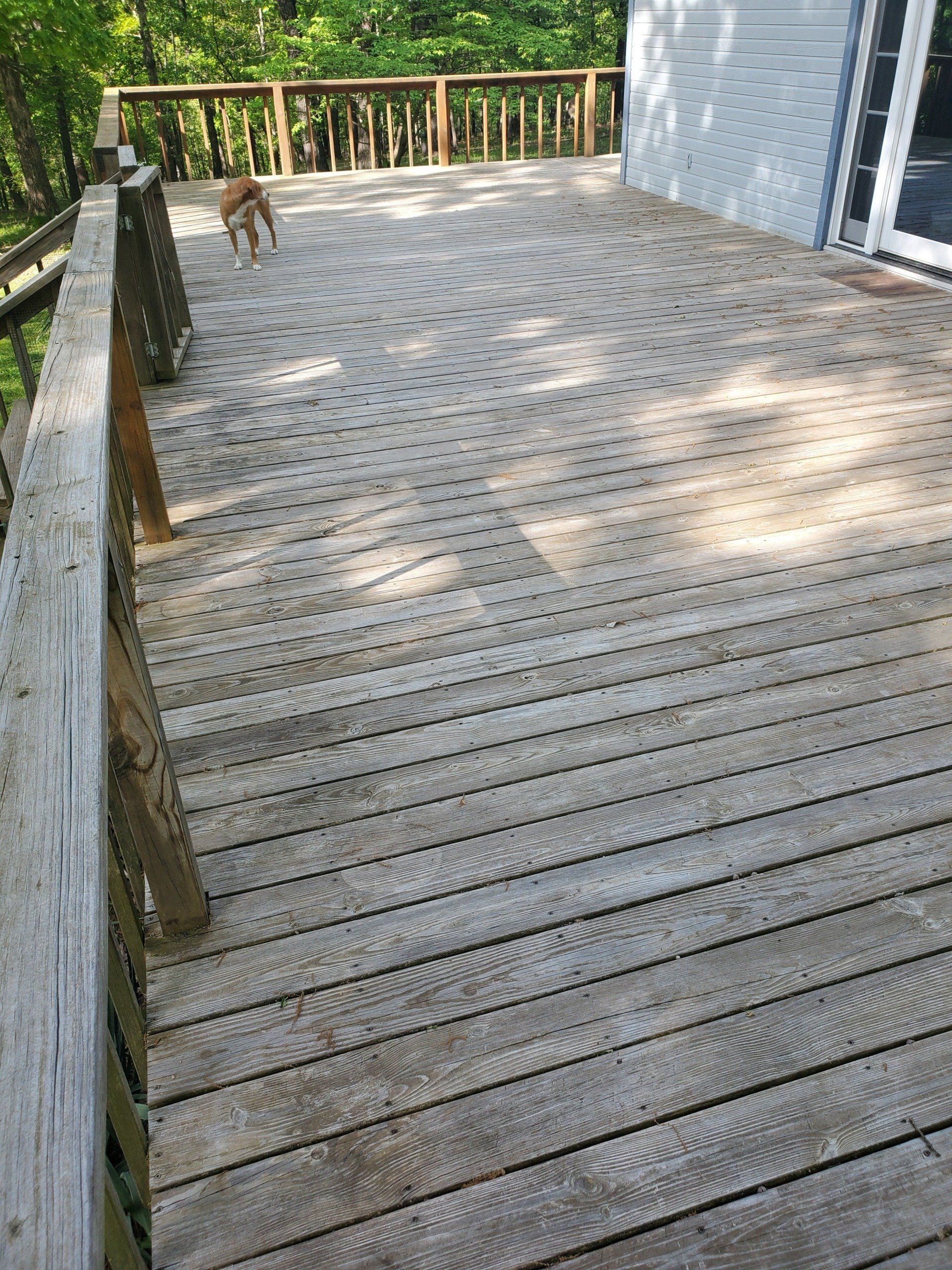 A dog is standing on a wooden deck next to a house.