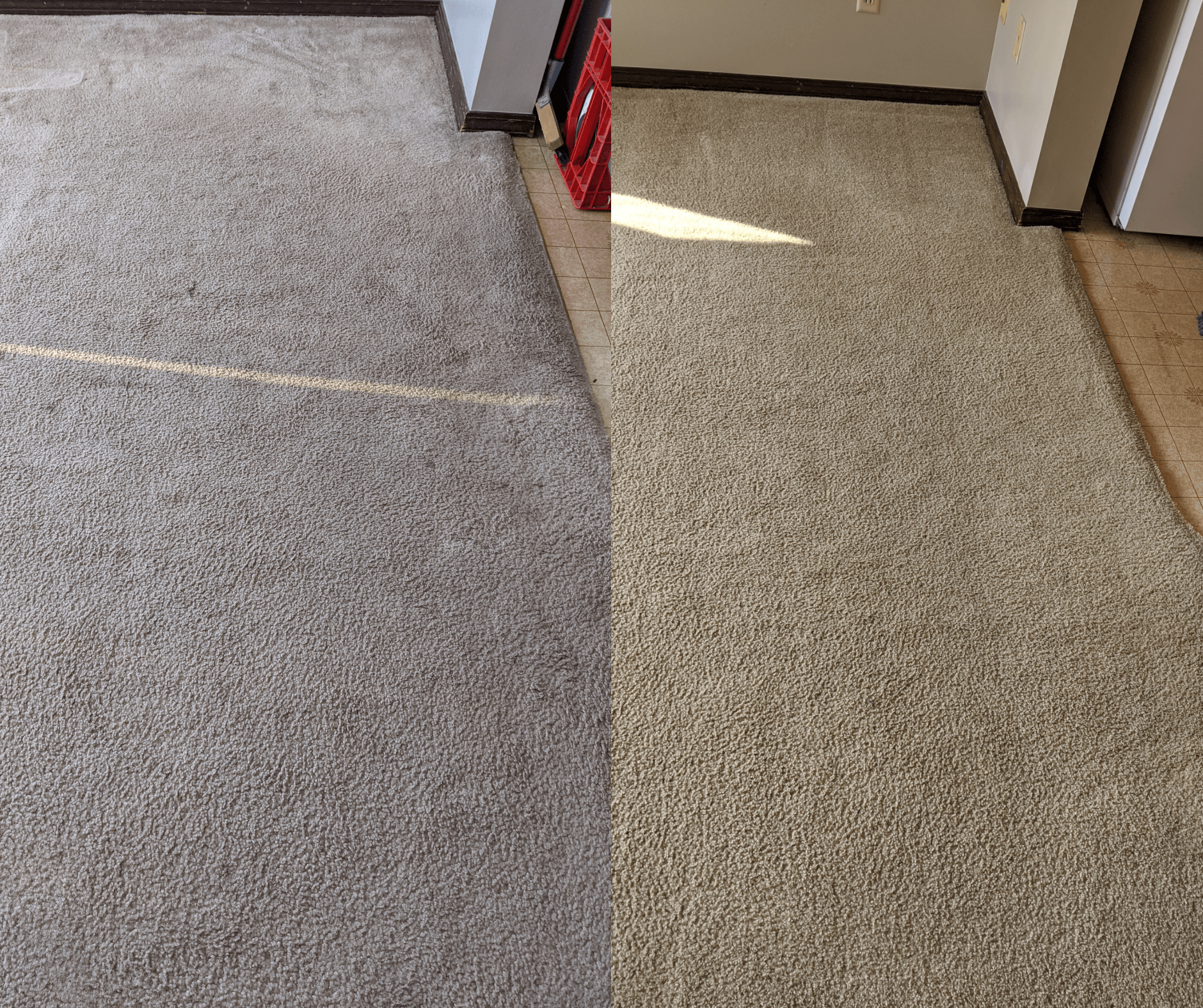 side by side example of dirty to clean carpet from a Top Quality Home Services carpet cleaning job