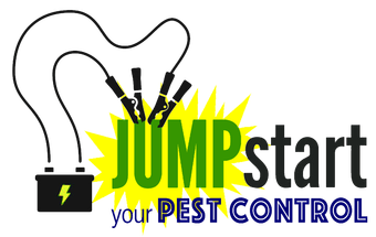 Jump Start Your Pest Control — Fort Smith, AR — Extermco Termite & Pest Control