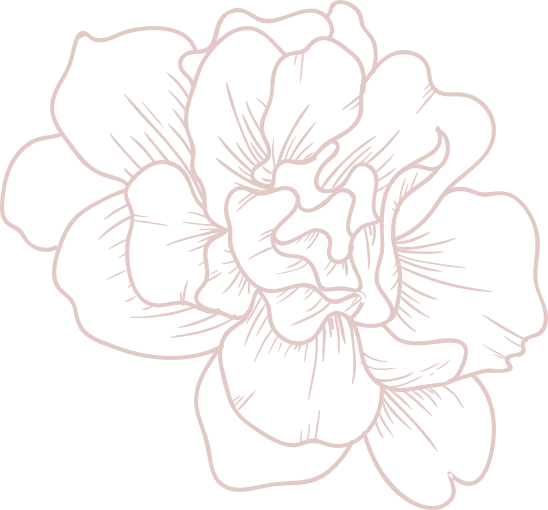 A drawing of a pink flower on a white background.