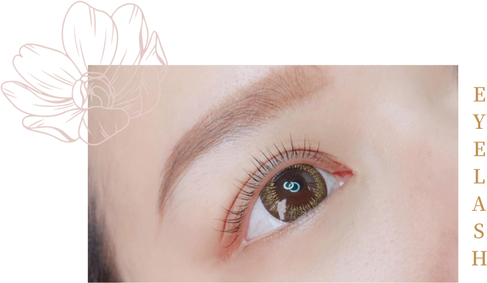 A close up of a woman 's eye with long eyelashes.