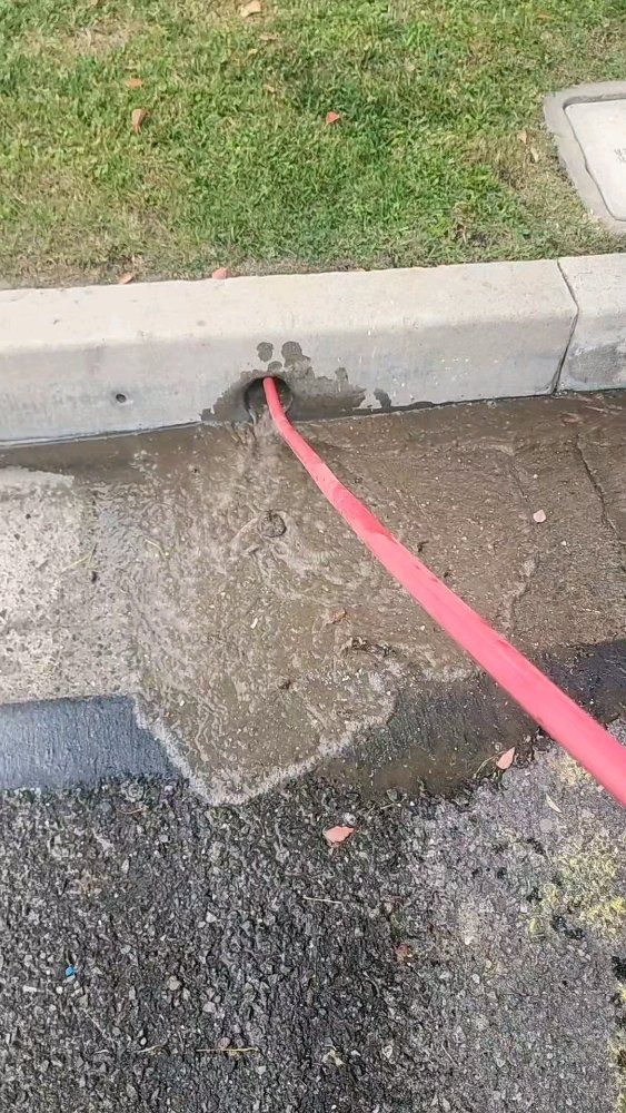 Red hose pouring water into a drain in a curb. The scene is outdoors on concrete and asphalt.