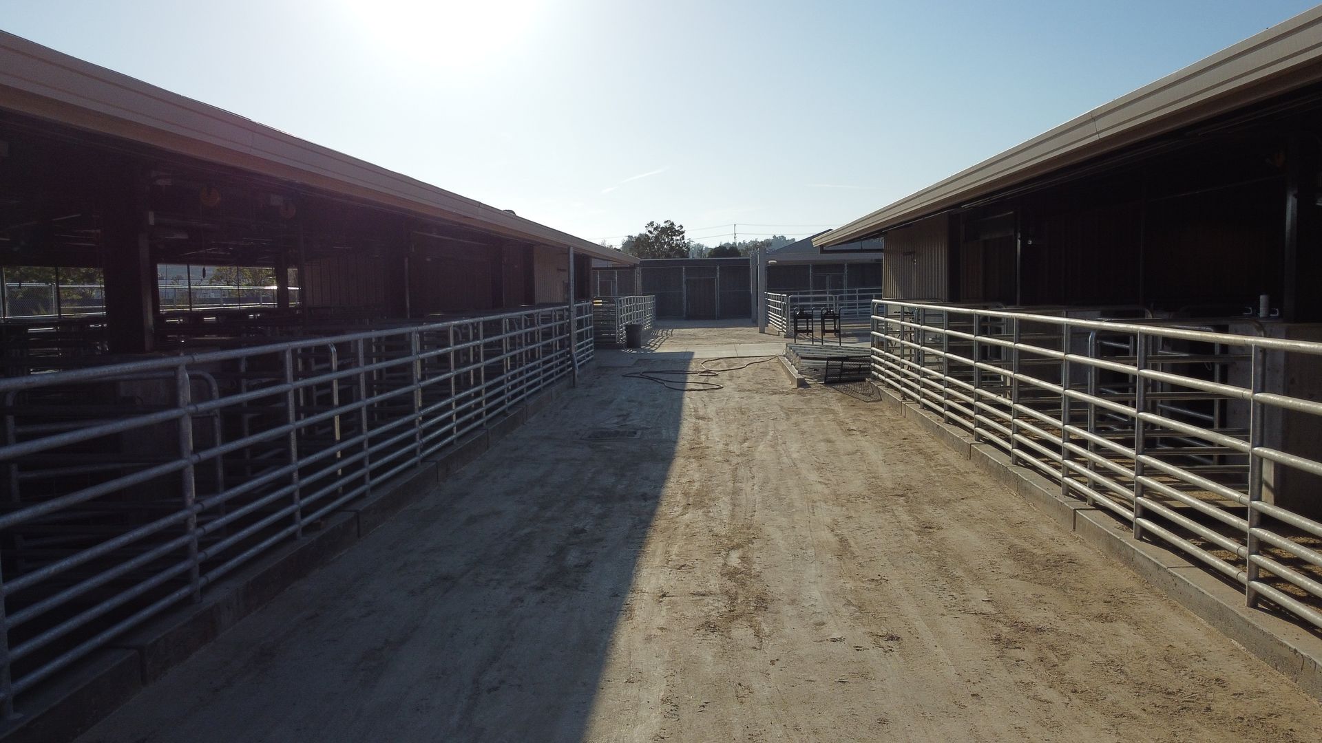 A dirt road leading to a fenced in area with cows.