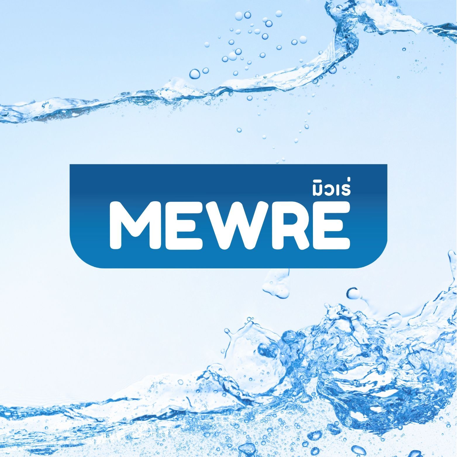 Drinking Water for Pet