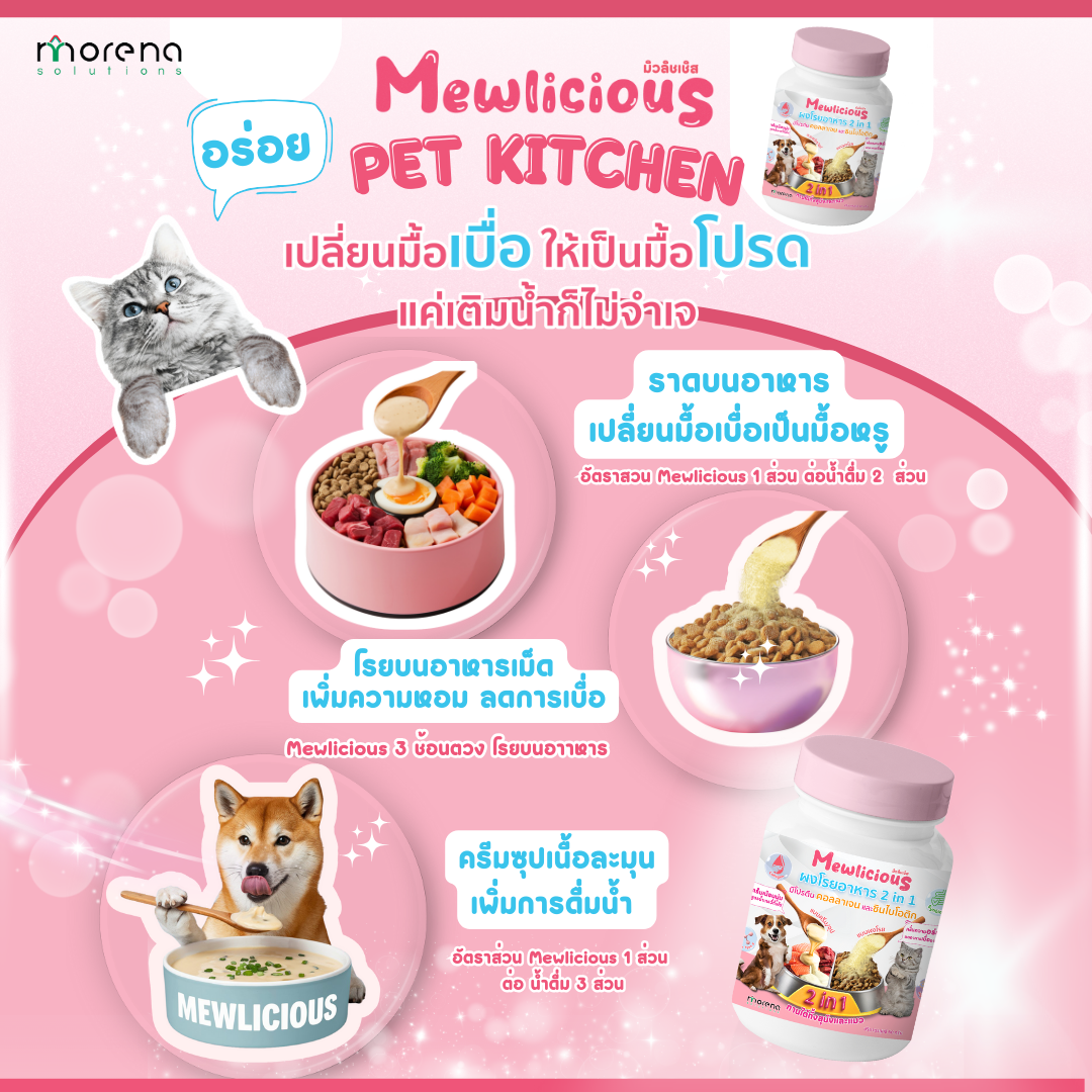 ผงโรยอาหาร 2in 1