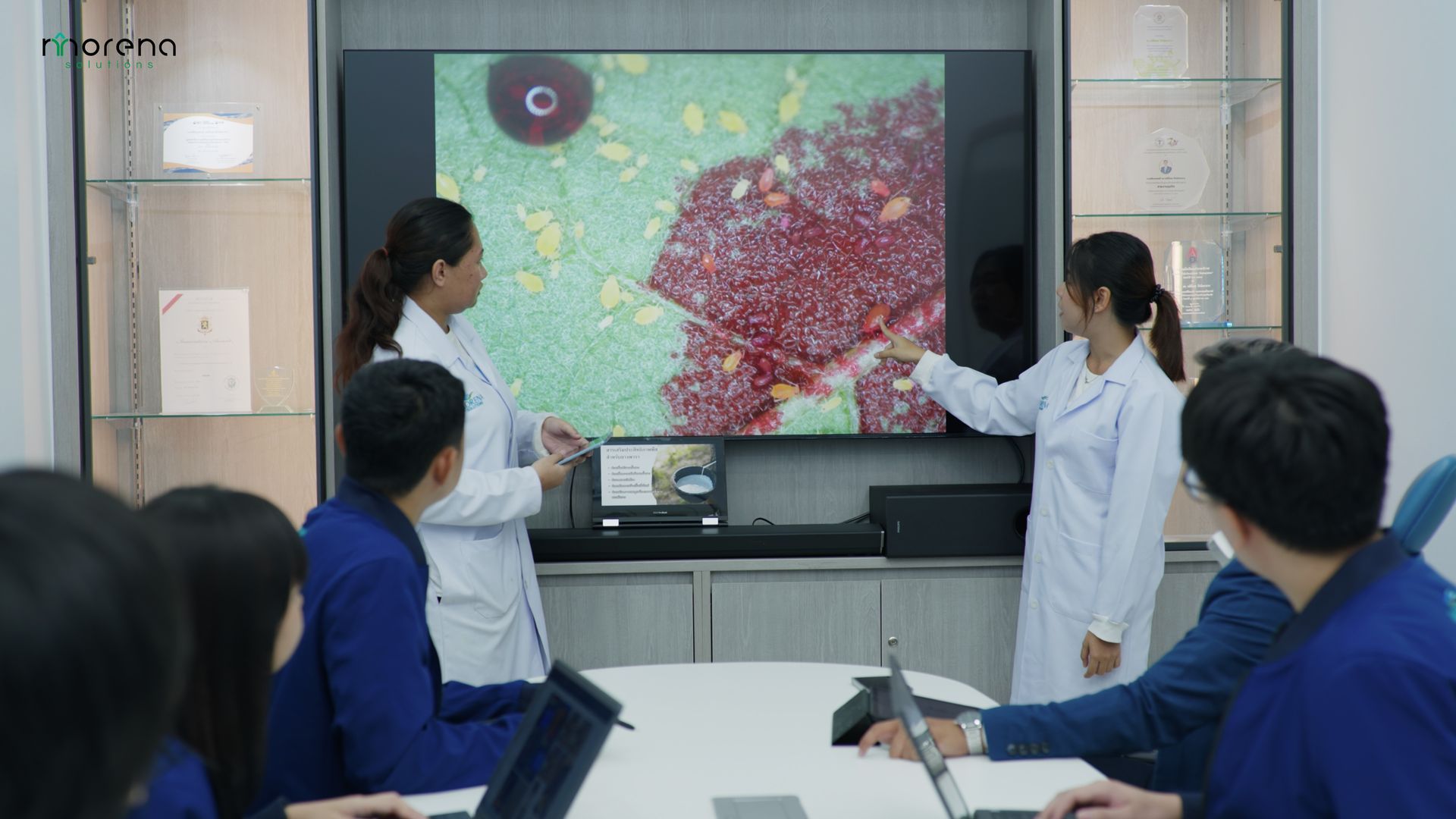 Production and Distribution of Animal Health and Agricultural Product.