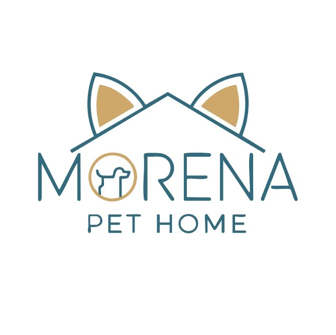 น้ำดื่มสำหรับสัตว์เลี้ยง