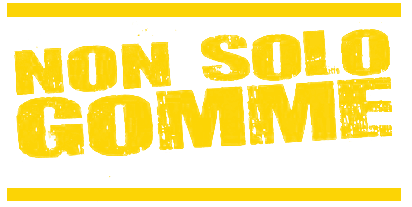 logo_non solo gomme 