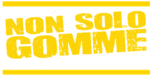 logo_non solo gomme 