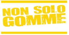 logo_non solo gomme 