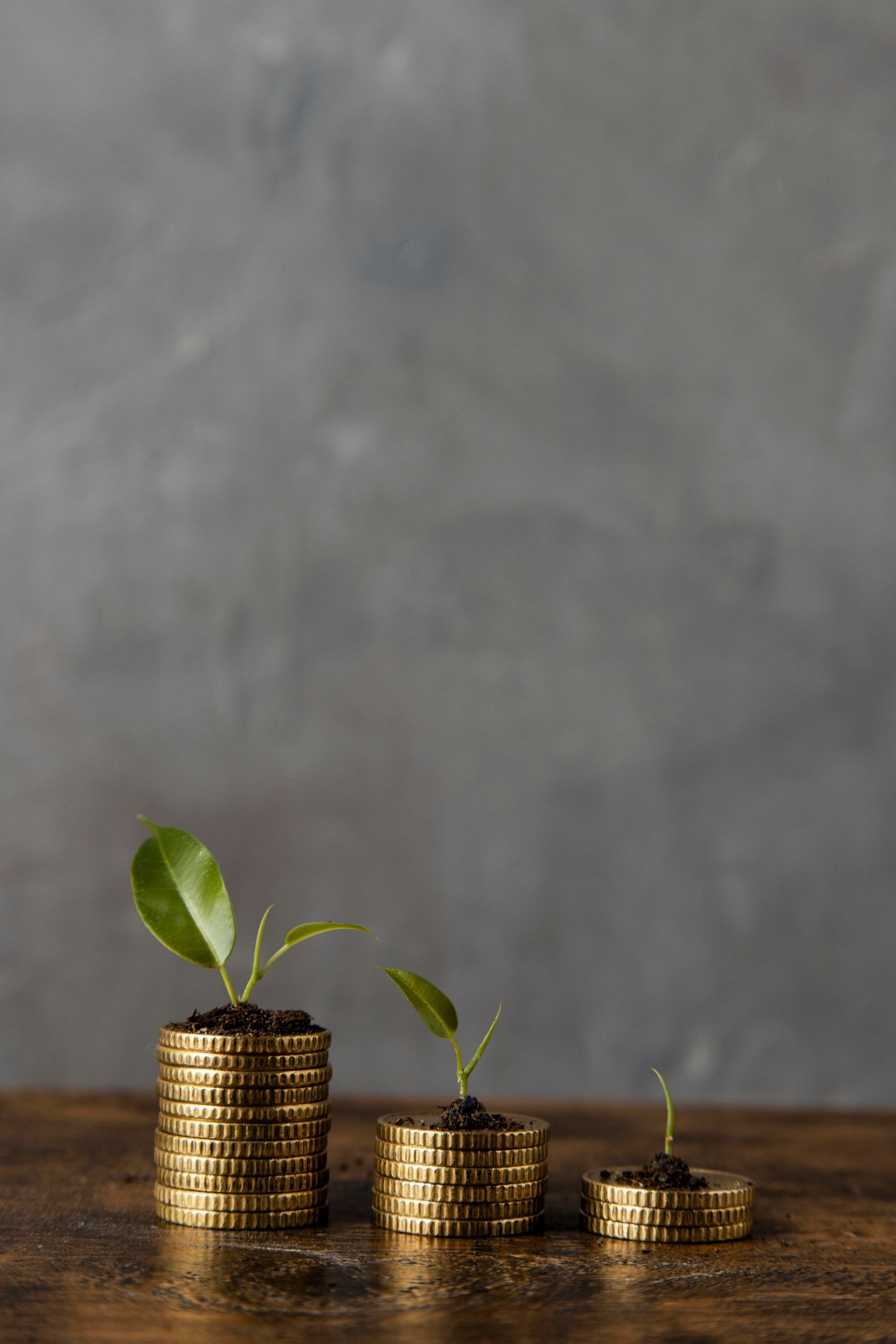 Stacks of gold coins with growing plants, on a wooden surface, against a gray background.
