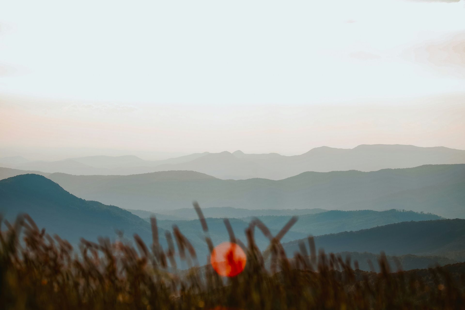 Blue mountain range at dusk, silhouetted against a pale sky. Foreground has blurred grasses.