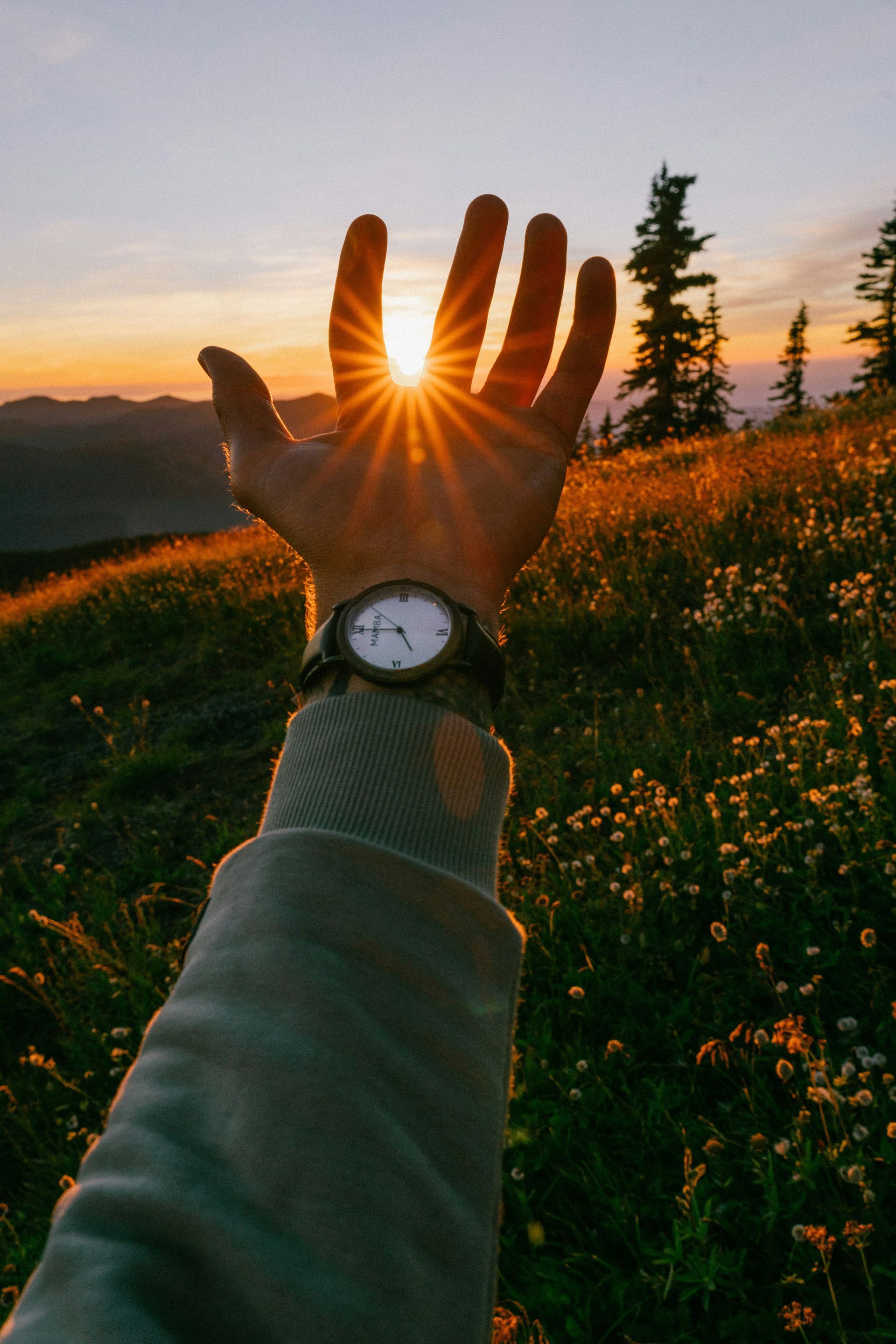 Hand reaching towards the sun, blocking its rays, with a watch on, in a field at sunset.