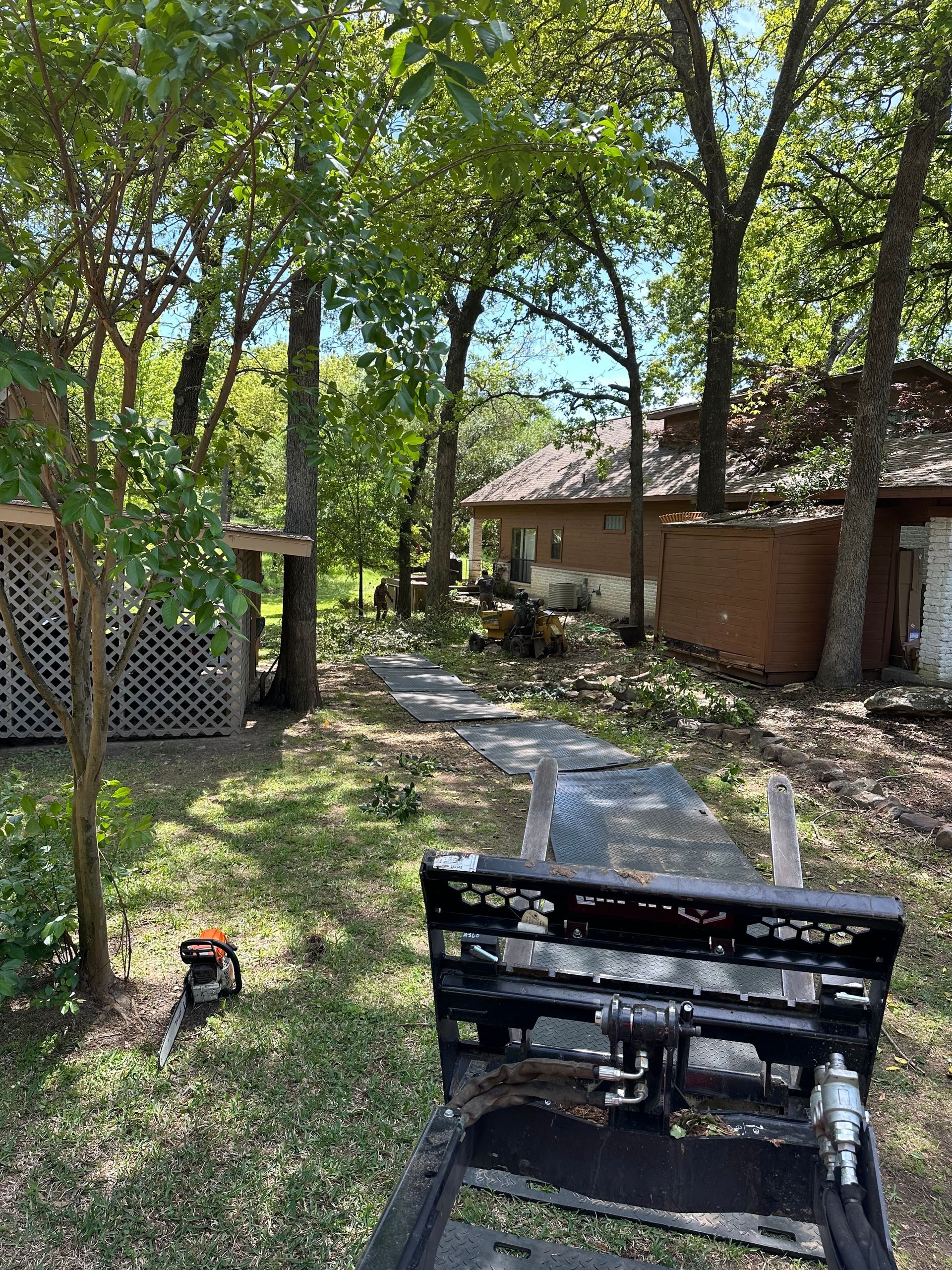 A close up of a tree branch with a stump in the background.