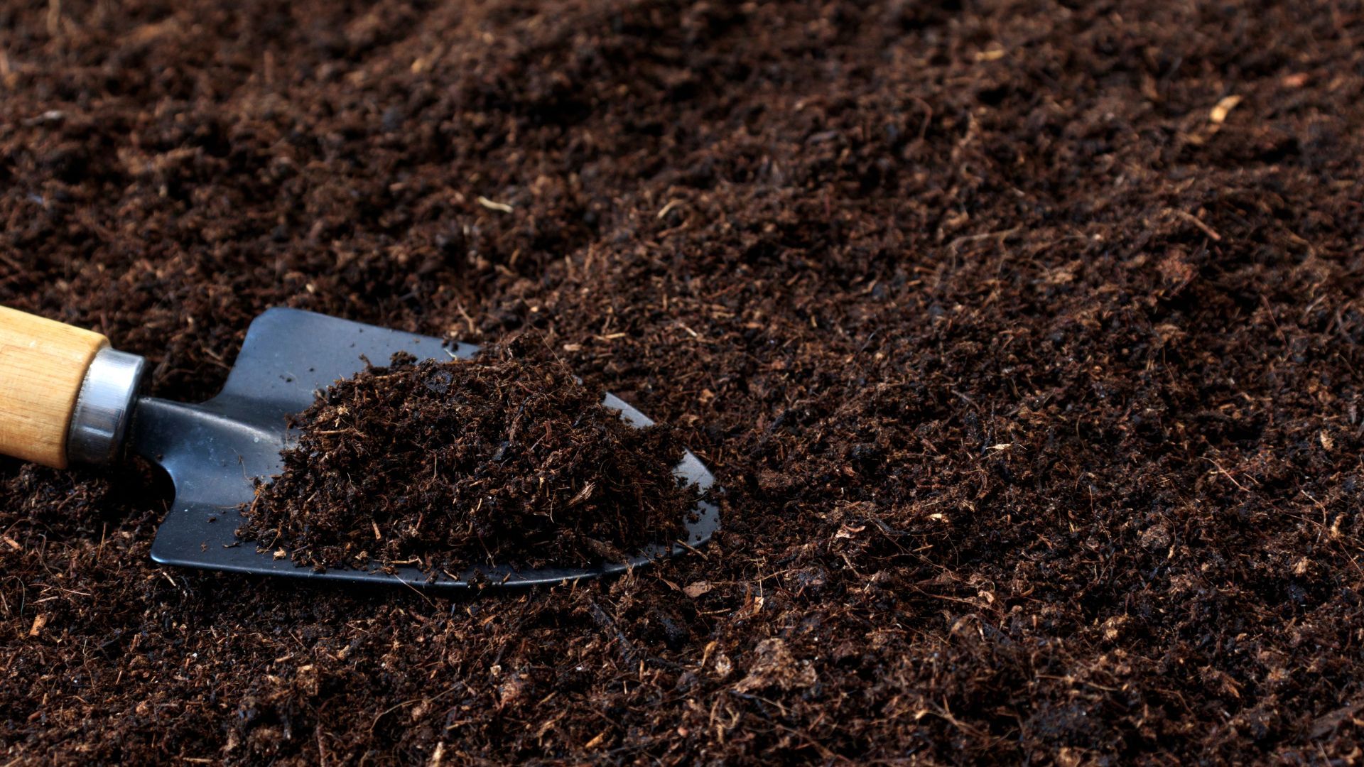 A shovel is sitting on top of a pile of dirt.