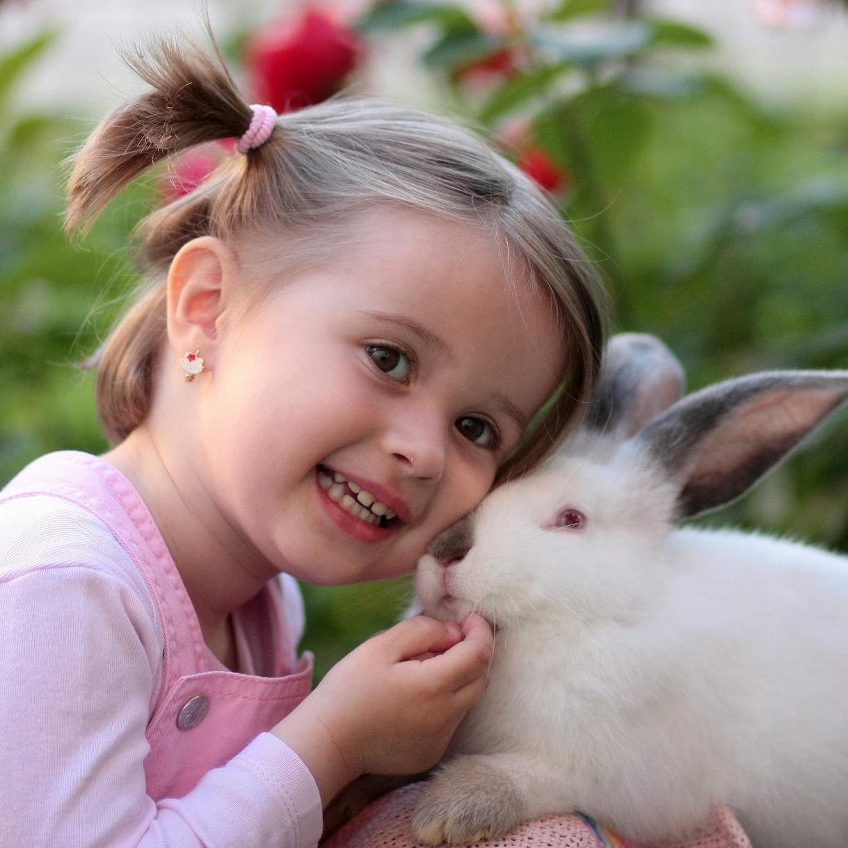 Child petting a rabbit