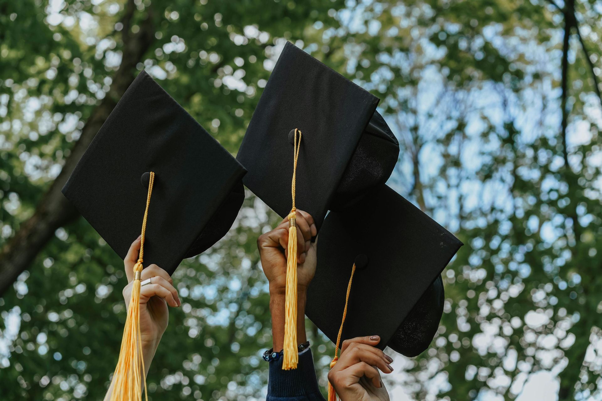 A group of graduates in black gowns joyfully toss their caps into a clear blue sky, celebrating their achievement with smiles and raised arms.