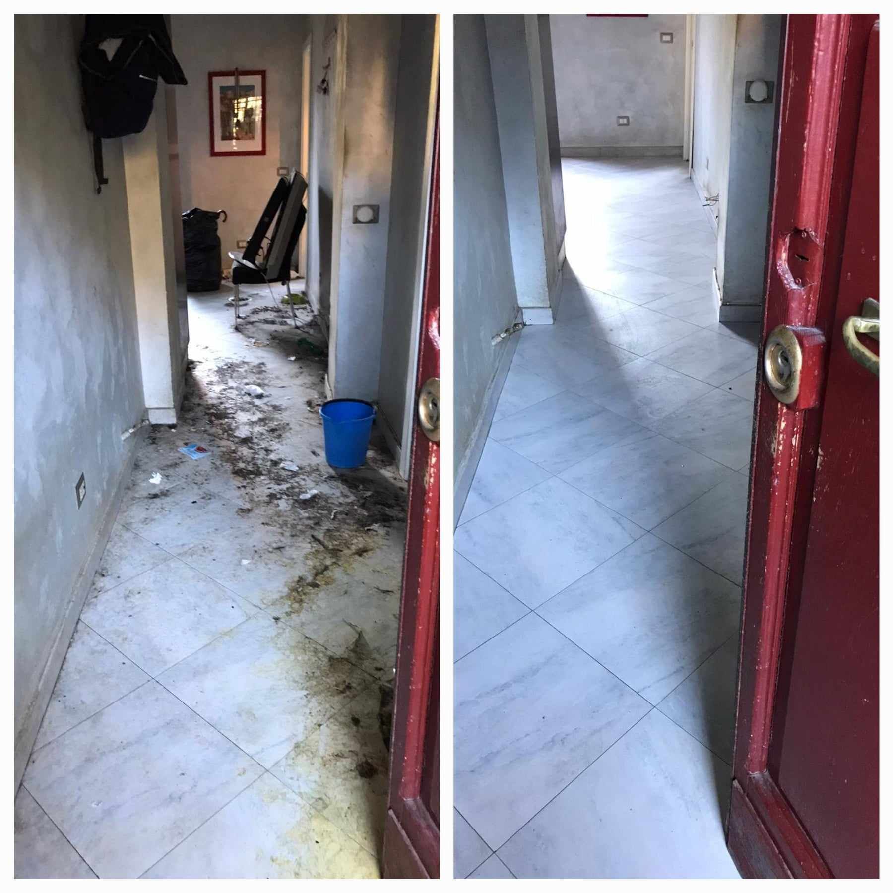 pulizie appartamento per barbanismo domestico