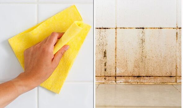 Come Pulire il Box Doccia e il Vetro della Doccia? Guida Completa per un  Bagno Sempre Splendente