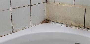 pulizia box doccia