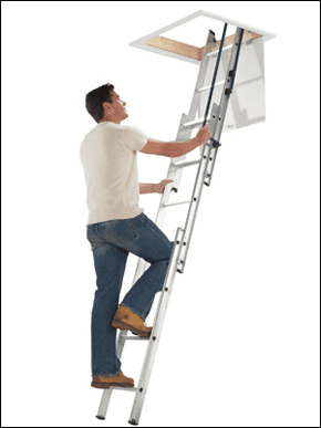 Ladder