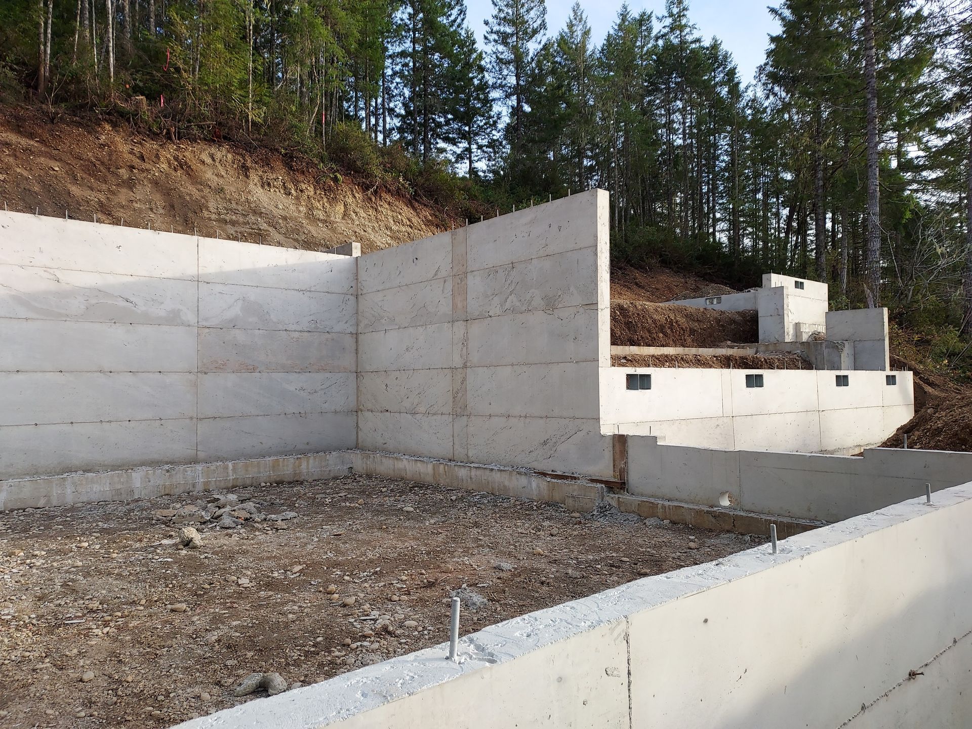 A concrete wall is being built in the middle of a forest
