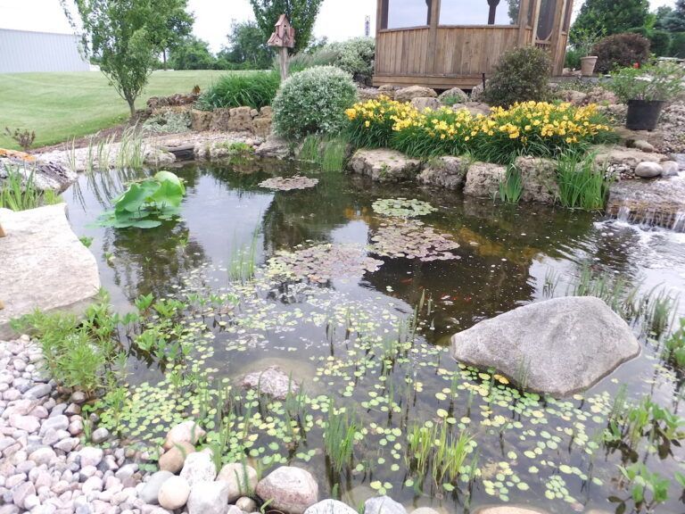 A backyard pond featuring a small waterfall, floating lily pads, surrounding stones, and lush landscaping.