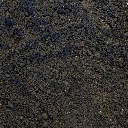 A close-up, top-down view of dark, textured soil or garden compost with small pebbles and organic matter.