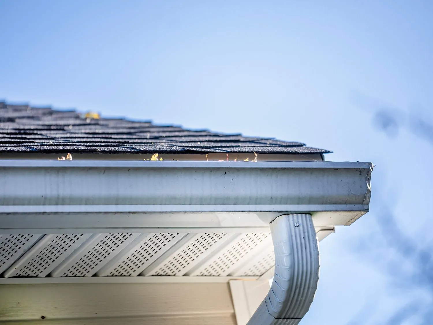 White house gutter with downspout, under a shingled roof against a blue sky.