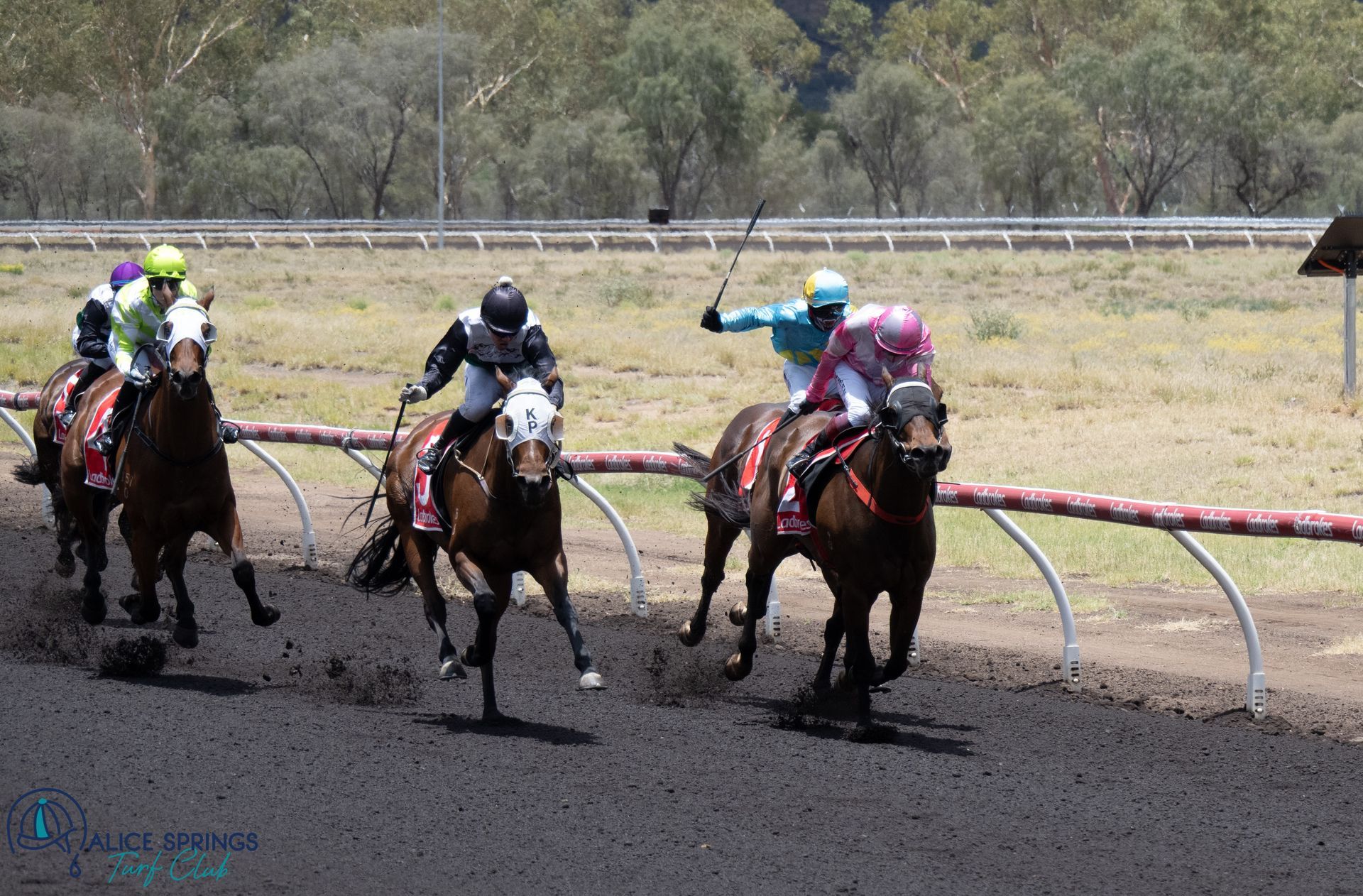 Results | Alice Springs Turf Club