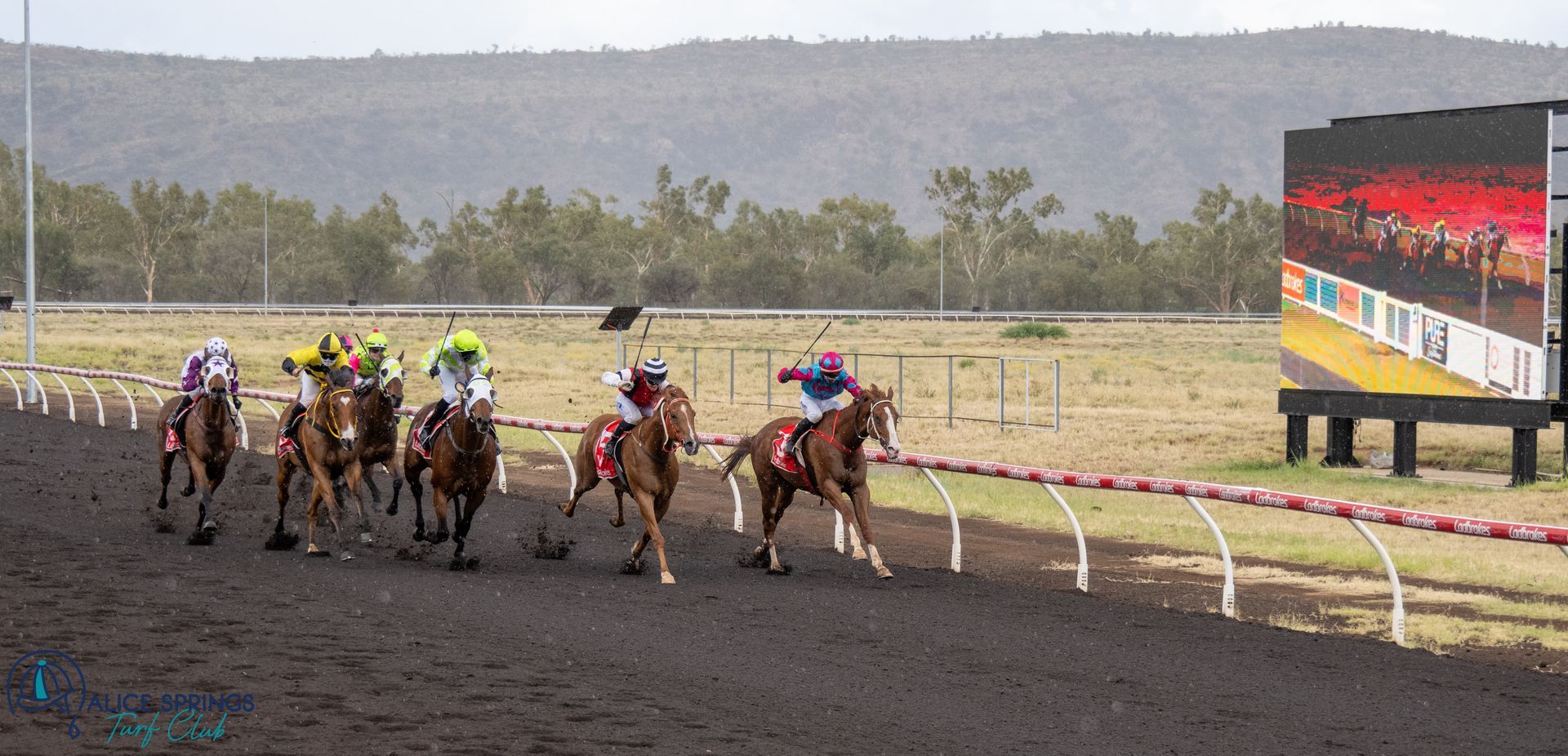 Results | Alice Springs Turf Club