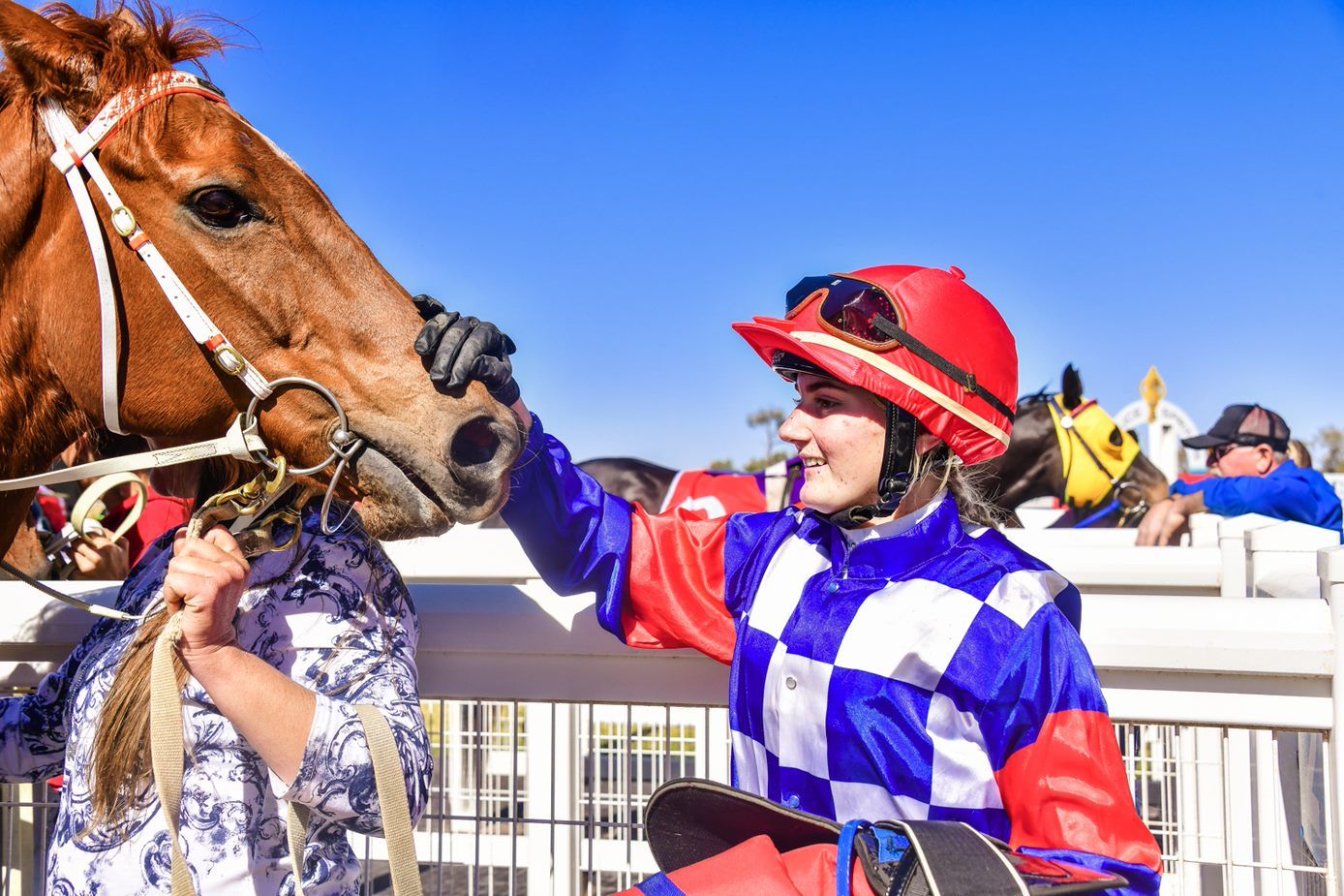 Jockey in red helmet and racing silks pets a brown horse's nose at a sunny racetrack.