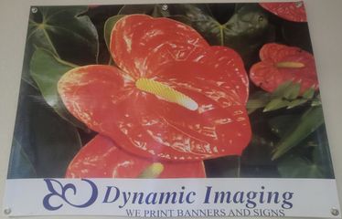 Banner with red anthurium flowers, green leaves, and 