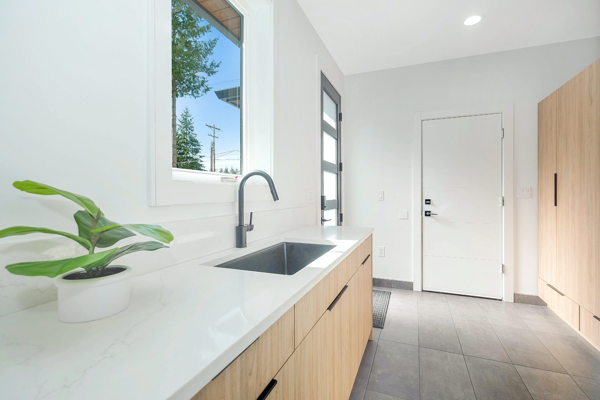 A kitchen with a sink and a potted plant on the counter.
