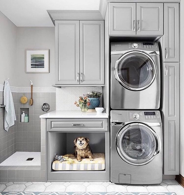 A dog is sitting in a laundry room next to a washer and dryer.