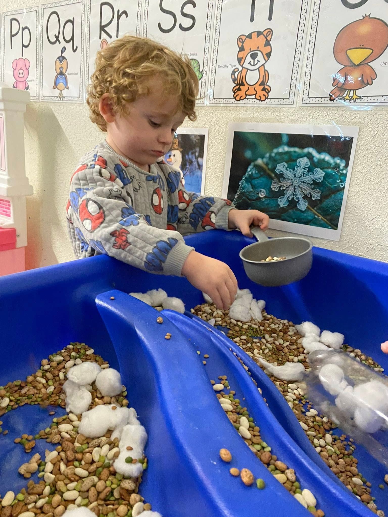 Boy playing with beans and cotton balls in a blue sensory bin.
