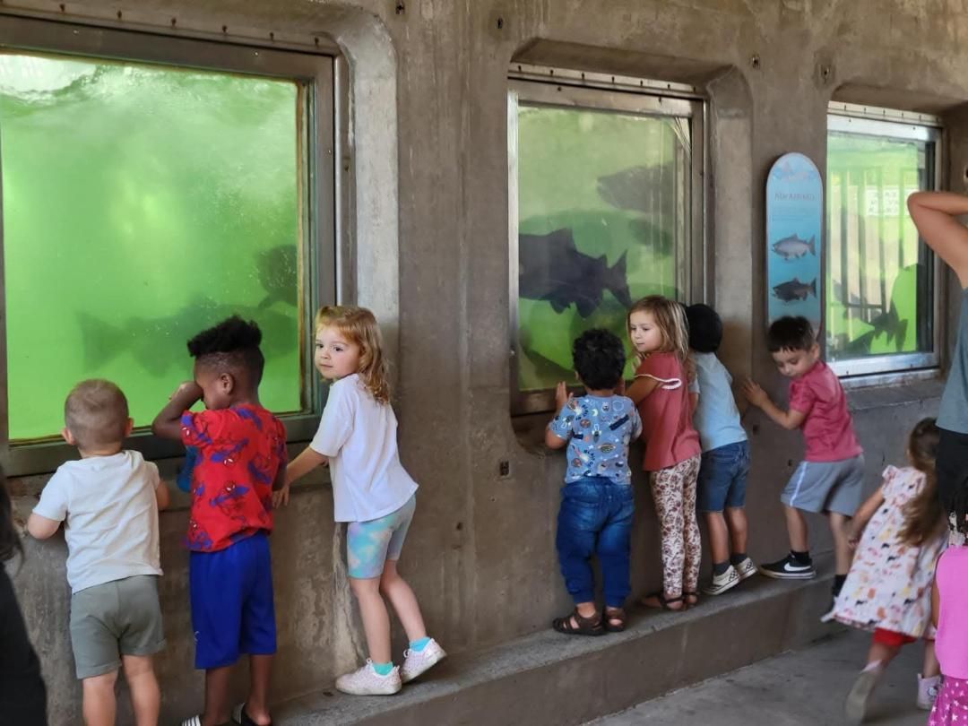 Children looking at fish through aquarium windows.