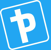 Pro-Plus Driving School Half Logo
