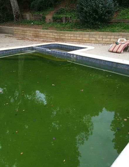 Dirty Pool before cleaning - Pool services in Whittier, CA