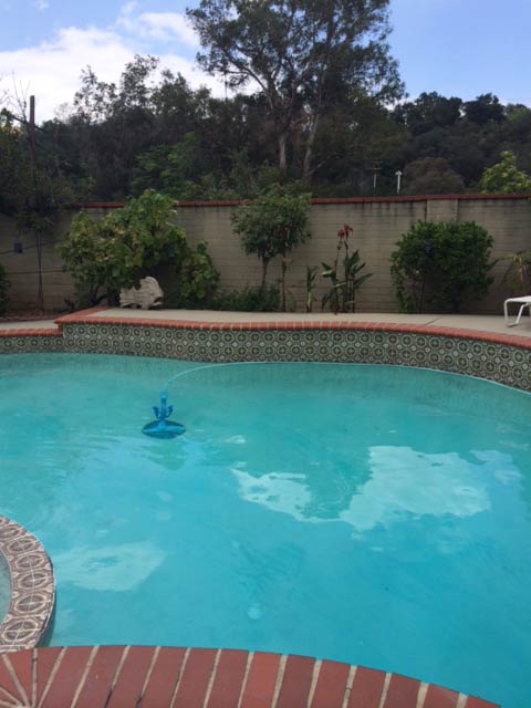 Trees surrounding pool - Pool services in Whittier, CA