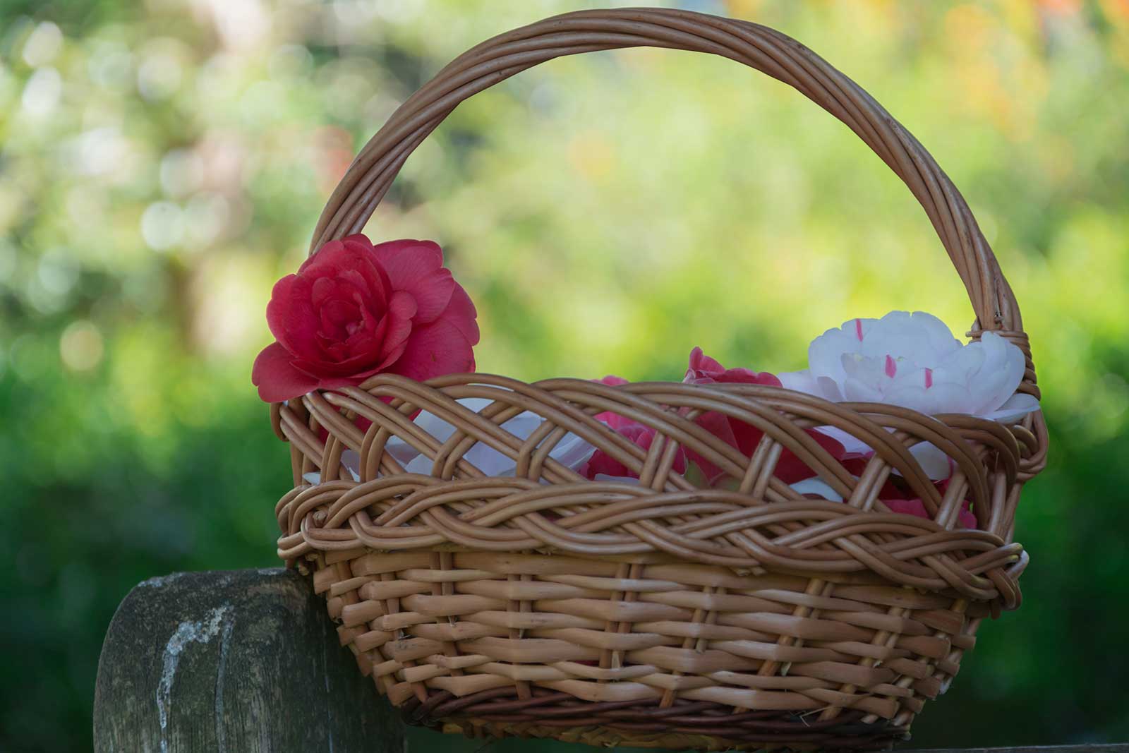 Beautiful basket with hidden gifts
