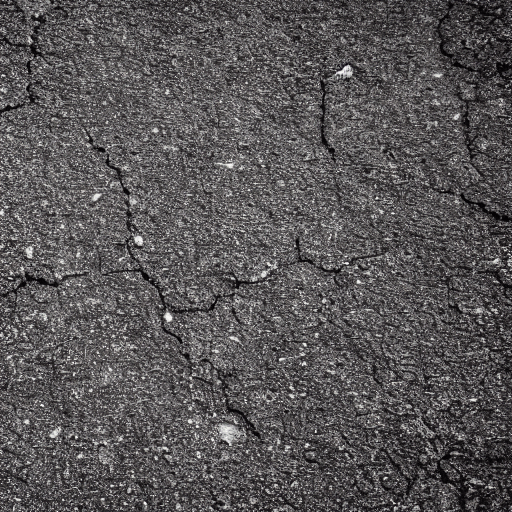 Closeup of a cracked asphalt driveway in Lexington Kentucky
