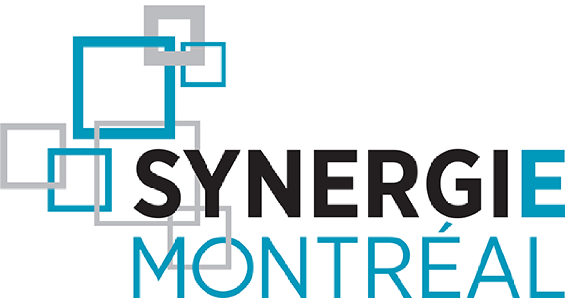 NOS PARTENAIRES - Synergie Montréal
