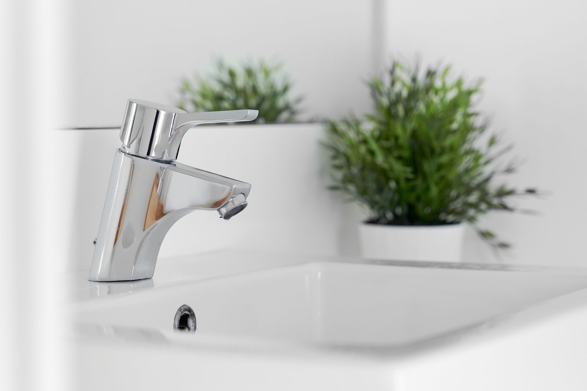 A bathroom with a toilet , shower , and towels. A bathroom sink with a faucet and a potted plant in the background.