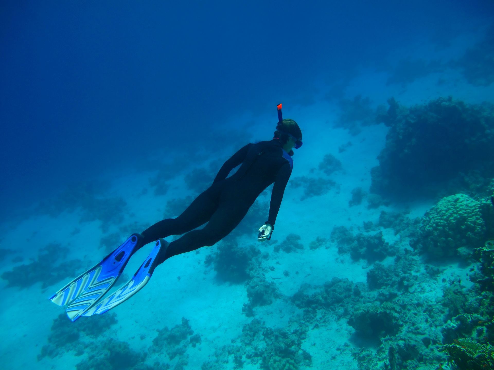 Life preserver ring, white with red stripes, hangs on a metal railing against a clear blue sky.