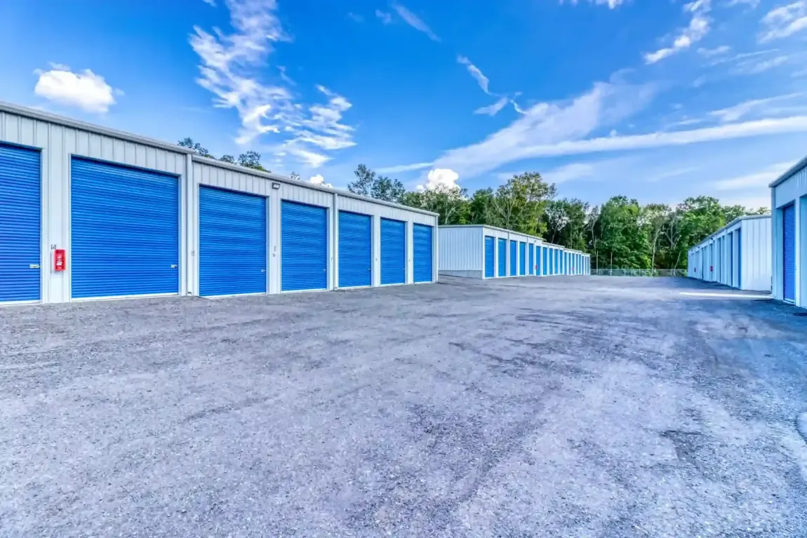 A row of storage units with blue doors on a sunny day.